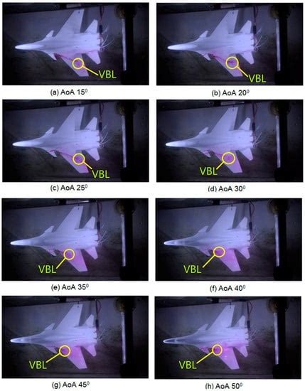 Aerospace Free Full Text Vortex Dynamics Study Of The Canard