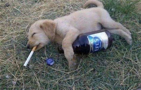 @drinkyourvillainjuice on Tumblr