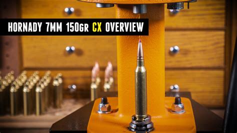 Tested Hornady Mm Grain Cx Bullets W Ballistics Gel Mm Rem Mag