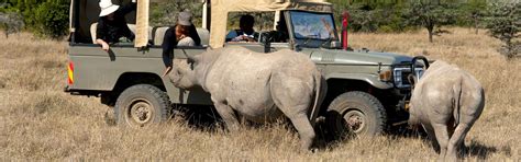 Kenya Wildlife Safaris Saso Gorilla Safaris Uganda