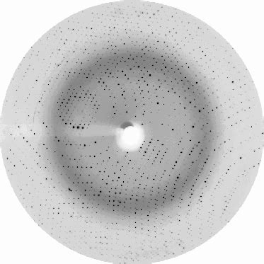 X Ray Crystallography Crystals