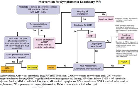 Mitral Regurgitation In 2020 The 2020 Focused Update Of The 2017