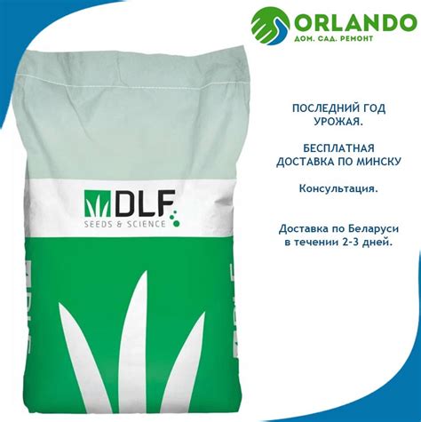 Клевер белый ползучий 25кг DLF Trifolium Семена сидерат купить в Минске ...