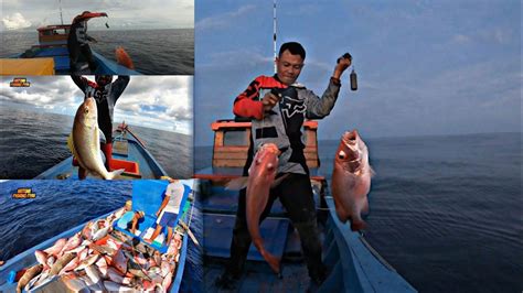 Mancing Di Sarang KAKAP MERAH Umpan Tuna Total Tangkapan 700kg Lebih