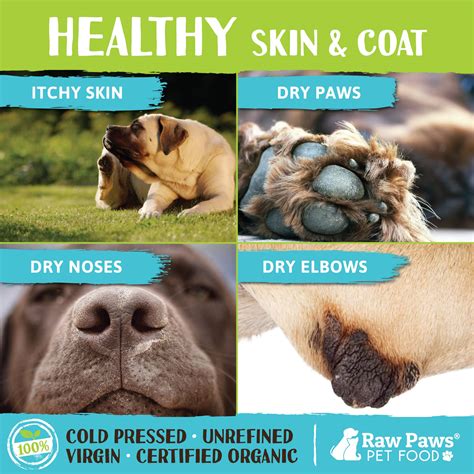 Can I Put Coconut Oil On My Dogs Paws
