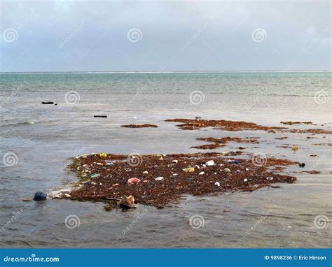 Inquinamento Rifiuti Che Galleggiano Lungo Il Puntello Fotografia