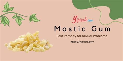 Mastic Gum Health Benefits And Uses Yipisale