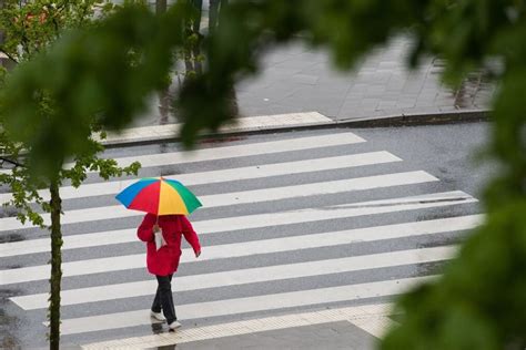 Zebrastreifen So Verh Lt Man Sich Als Fahrender Richtig Blick