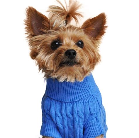 Knitted Dog Sweater - Etsy