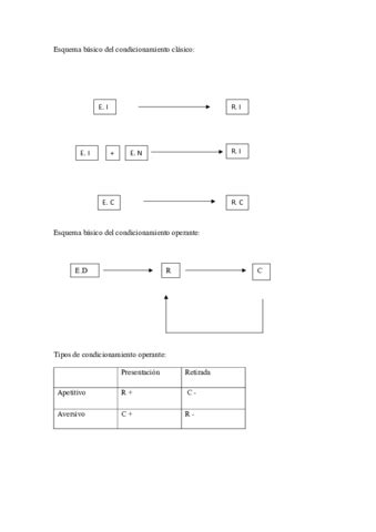 Esquema Basico Del Condicionamiento Clasico Pdf