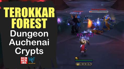 Dungeon Auchenai Crypts Terokkar Forest Wow World Of Warcraft Youtube