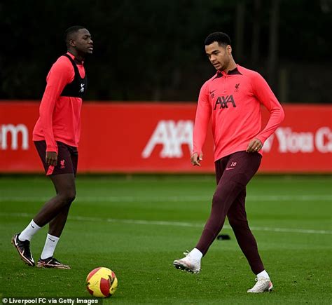 Virgil Van Dijk Backs Calm Holland Team Mate Cody Gakpo To Be A