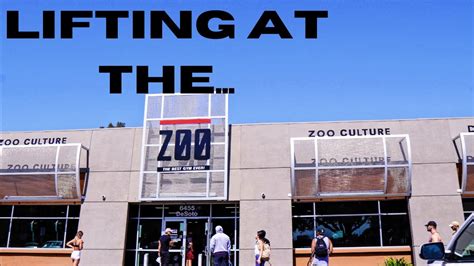 Workout At Zoo Culture And A Surprise Guest Youtube