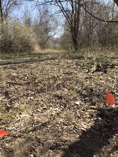 Hole 12 • New Community Church Grand Rapids Mi Disc Golf Courses