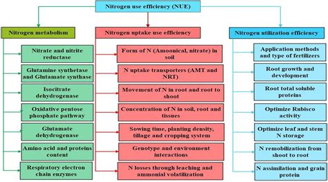 Uses Of Nitrogen