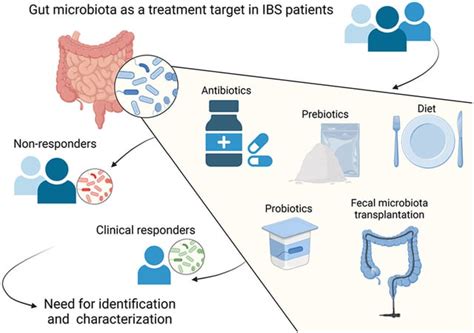 Treatments Targeting The Luminal Gut Microbiota In Patients With