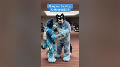 Por Fin Se Encuentran Bluey Y Su Padre Uwu Bluey Bingo Furries