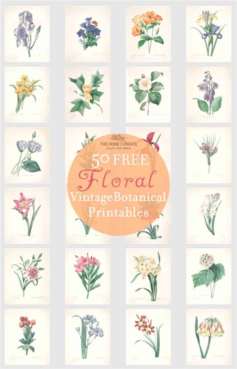 Free Botanical Printable Illustrations Botanical Prints Free