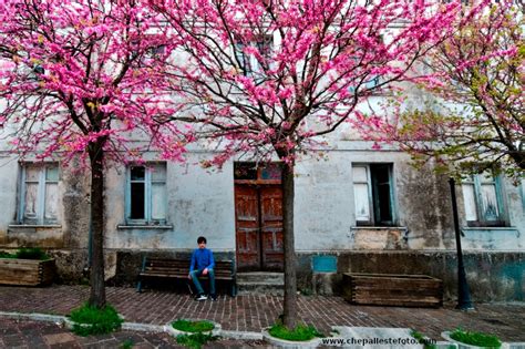 Arti Visive Marco DiDomenico Fotografie Il mondo è fatto a scale