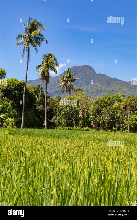 Camiguin Philippines April 24 2018 Mountain Scenery Showing Mount