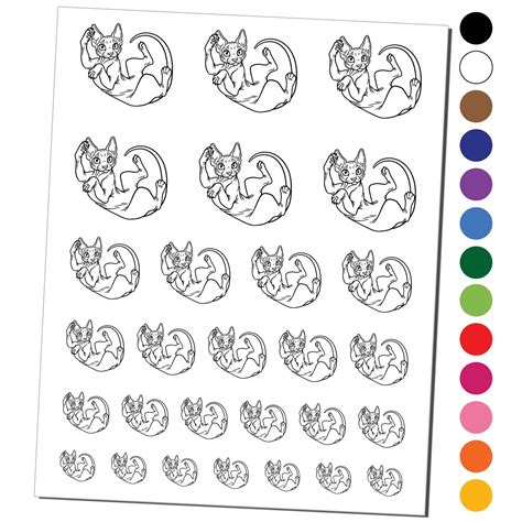 Playful Sphynx Hairless Cat Water Resistant Temporary Tattoo Set Fake