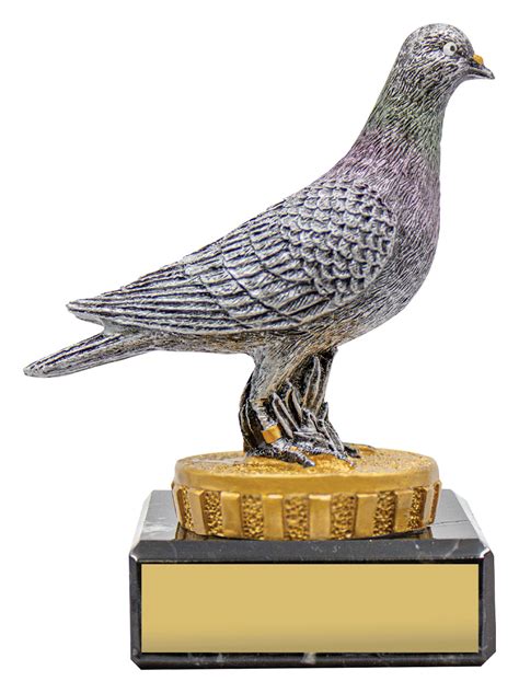 Pigeon Marble Ambassador Trophies