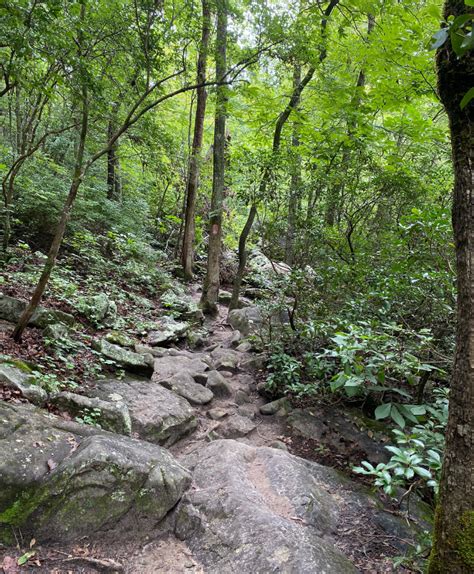 Spending A Summer Day At Desoto Falls On Lookout Mountain