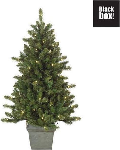 Black Box Highland Spruce Kunstkerstboom In Pot H125d69cm Met