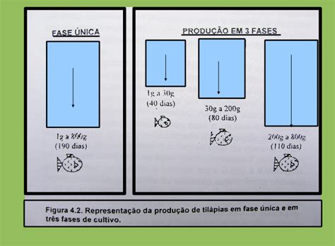 Ikhthys Piscicultura Ecol Gica Piscicultura Cria O Por Fases