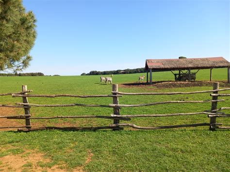 Foto Lanovi Kud A Podravka Posjetili Brijune I Pulu