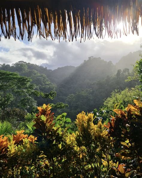 What To Bring To The Rainforest Luna Lodge COSTA RICA