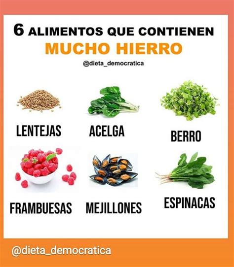 Alimentos Ricos En Hierro Alimentos Ricos En Hierro Alimentos Con