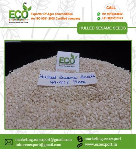 Seeds White Hulled Sesame Exportquality For Cooking Max At