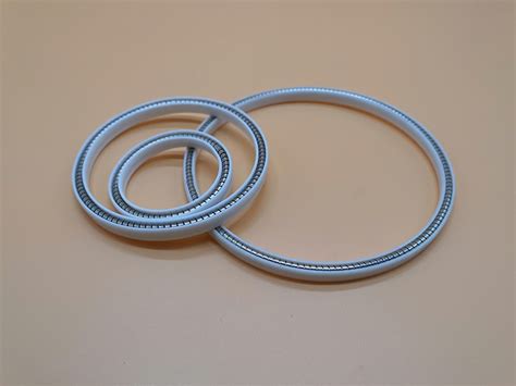 Ptfe Lip Seals