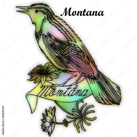 montana state bird Stock Vector | Adobe Stock