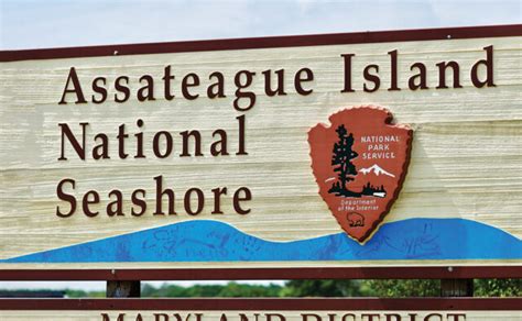 On the road again: Assateague Island, Maryland