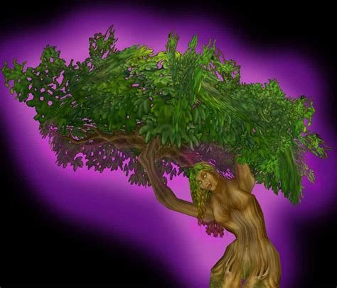 Dryad Wowwiki Fandom Powered By Wikia