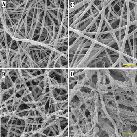 Nanofibrous Scaffolds For Skin Tissue Engineering And Wound Healing