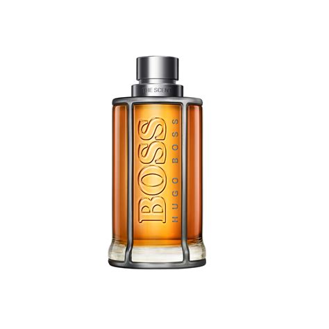 Hugo Boss The Scent Perfume For Men Eau De Toilette 200ml Buy Online