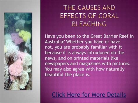 The causes and effects of coral bleaching