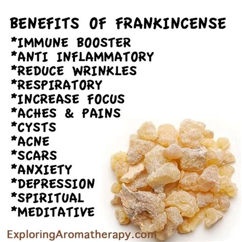 The Wonderful Benefits Of Frankincense Essential Oil Frankincense