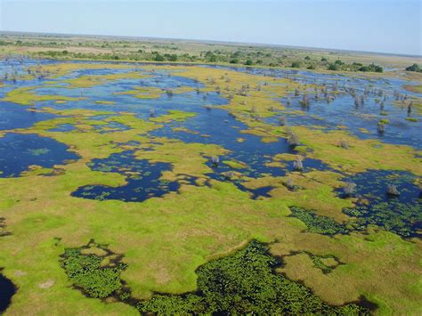 Limpopo National Park Mozambique Wild Safari Guide