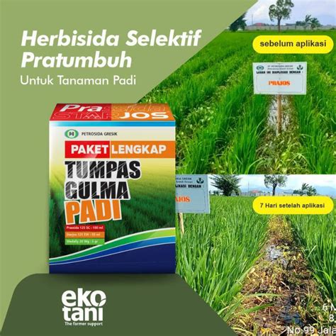 Jual Prajos Herbisida Selektif Padi Kemasan Ml Shopee Indonesia