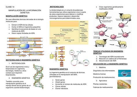 Biología celular uDocz