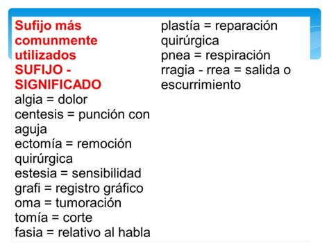 Terminolog A Por Aparatos Y Sistemas Prefijos Y Sufijos Ppt