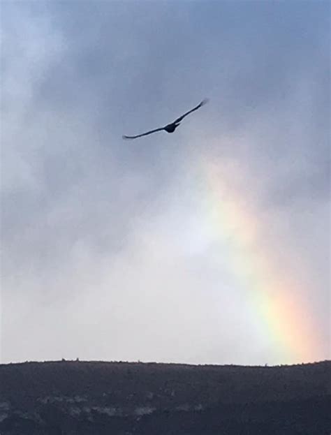 Au Coeur De La Pleine Conscience Mieux Vivre Avec La M Ditation Mbsr