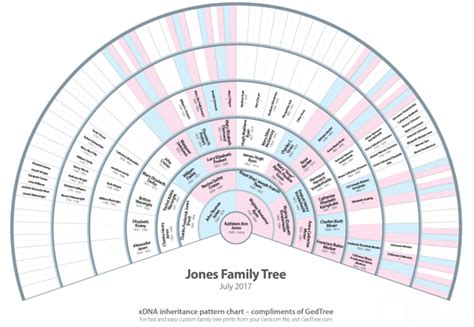 Hamilton County Genealogical Society: Understanding X-Inheritance Patterns - SWOHDNA - October ...