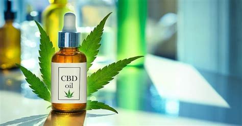 Quel Est Le Prix De L Huile CBD