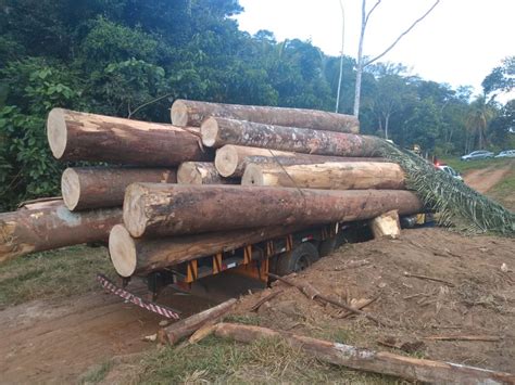 Madeiras Caem De Caminh O Durante Carregamento E Trabalhador Morre