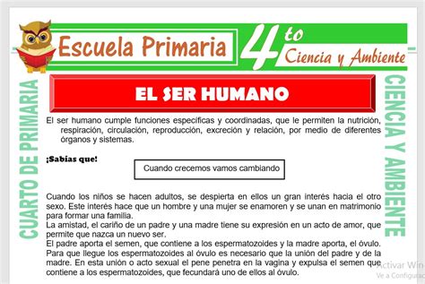 Ficha Etapas Del Desarrollo Humano Para Cuarto De Primaria Pdf Adultos 254100 The Best Porn